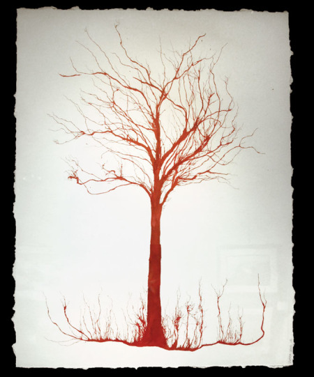 crimson-tree.jpg